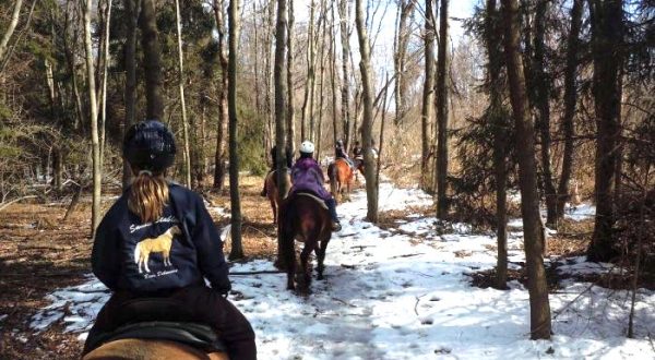 The Winter Horseback Riding Trail In Delaware That’s Pure Magic