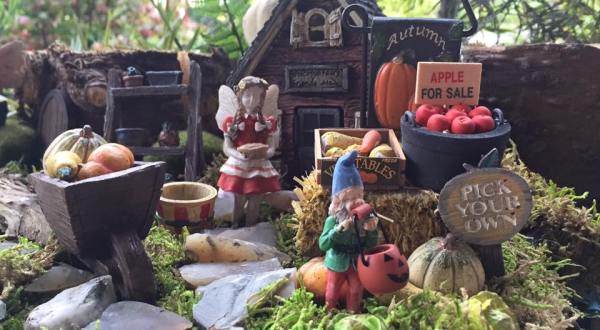 There’s A Fairy Garden Hiding In New Jersey And It’s Magical