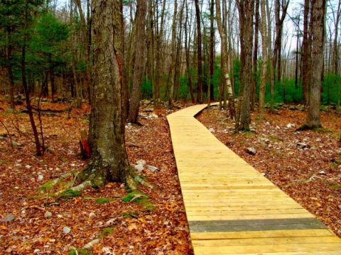 The Hidden Park That Will Make You Feel Like You've Discovered Massachusetts' Best Kept Secret
