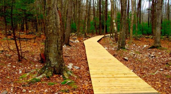 The Hidden Park That Will Make You Feel Like You’ve Discovered Massachusetts’ Best Kept Secret
