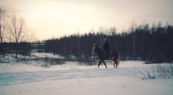 The Winter Horseback Riding Trail Near Cleveland That’s Pure Magic