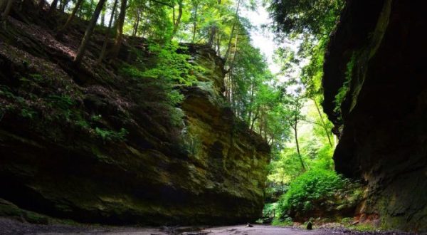 Indiana Has A Grand Canyon In Turkey Run State Park And It’s Too Beautiful For Words