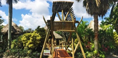 The Unique Park Everyone In Florida Should Visit At Least Once
