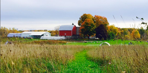 There’s a Bakery On This Beautiful Farm In Michigan And You Have To Visit