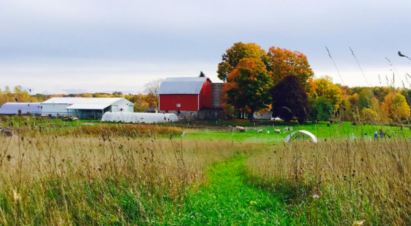 There’s a Bakery On This Beautiful Farm In Michigan And You Have To Visit