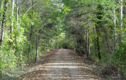 You’ve Never Experienced Anything Like This Epic Abandoned Railroad Hike In North Carolina