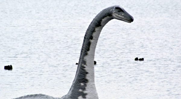 Northern California Has Its Own Loch Ness Monster And Most People Have No Idea