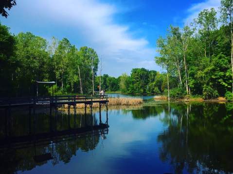 The Hidden Park That Will Make You Feel Like You've Discovered Michigan’s Best Kept Secret
