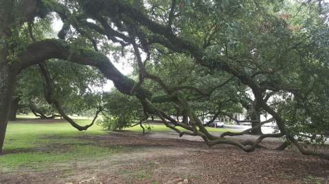 The Hidden Park That Will Make You Feel Like You've Discovered New Orleans’ Best Kept Secret