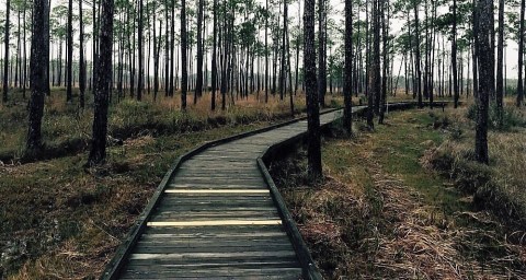 The Easy Winter Hike In New Orleans That's Positively Bewitching