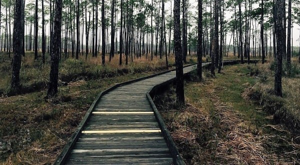 The Easy Winter Hike In New Orleans That’s Positively Bewitching