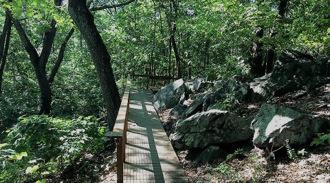 The Hidden Park That Will Make You Feel Like You've Discovered Rhode Island's Best Kept Secret