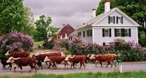 These 9 Bed And Breakfasts In New Hampshire Are Perfect For A Getaway