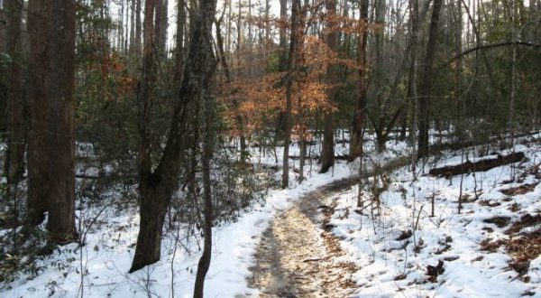The Easy 1-Mile Winter Hike In South Carolina That’s Positively Bewitching