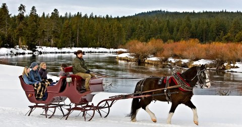 The Winter Horse-Drawn Carriage Ride In Oregon That's Pure Magic