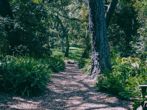 The Underrated Botanical Garden That Just Might Be The Most Beautiful Place In Southern California