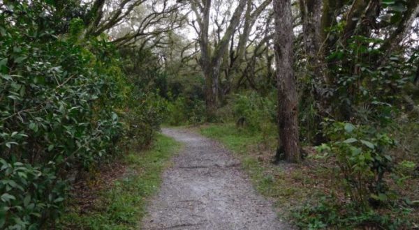 The Hidden Park That Will Make You Feel Like You’ve Discovered Florida’s Best Kept Secret