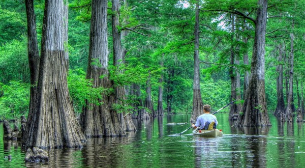 The 10 Best Decisions You Can Make In Louisiana