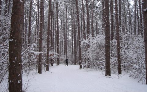 18 Wisconsin Hikes Along The Ice Age Trail That Are Picture Perfect In The Winter