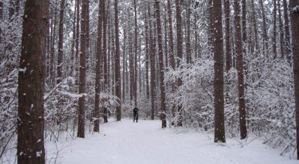 18 Wisconsin Hikes Along The Ice Age Trail That Are Picture Perfect In The Winter