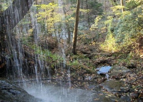 The Hidden Park That Will Make You Feel Like You've Discovered West Virginia's Best Kept Secret