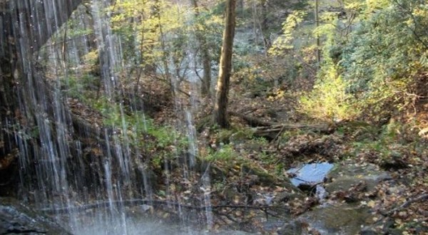 The Hidden Park That Will Make You Feel Like You’ve Discovered West Virginia’s Best Kept Secret