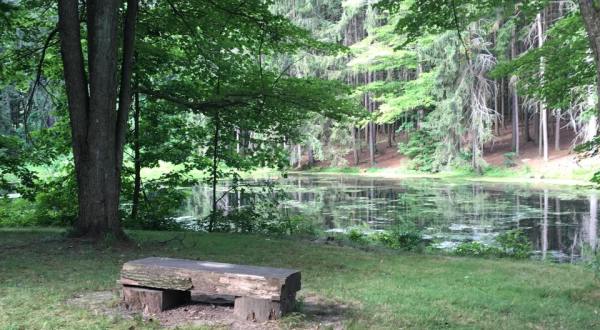 Escape To These 10 Hidden Oases In Pennsylvania To Find Peace And Quiet