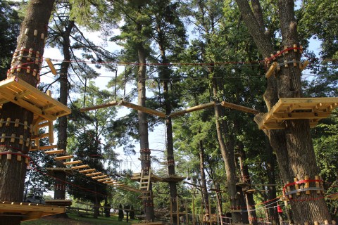 There’s An Epic Adventure Park Hiding In Pennsylvania And You Need To Visit