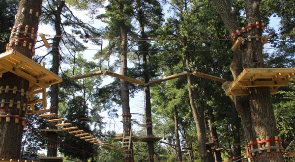 There’s An Epic Adventure Park Hiding In Pennsylvania And You Need To Visit