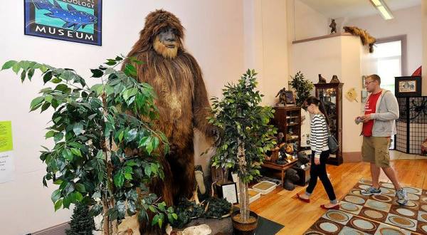 The International Cryptozoology Museum In Maine Is Not For The Faint Of Heart