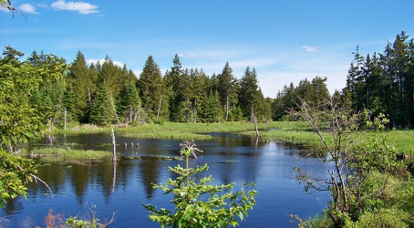 Visiting This One Wildlife Refuge In Maine Is Like Experiencing A Dream