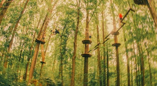 There’s An Adventure Park Hiding In The Middle Of A Delaware Forest And You Need To Visit