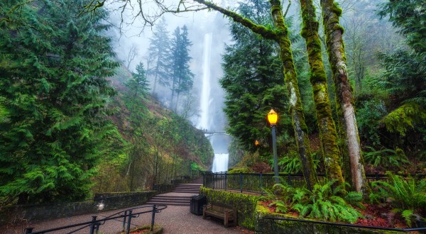 10 Reasons Why People From Portland Are The Best Kind Of People You’ll Ever Meet