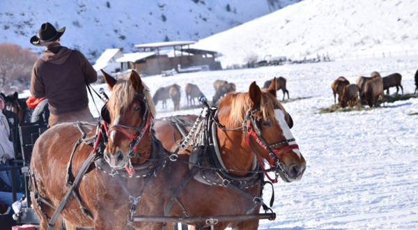 The Unique Ranch Everyone In Utah Should Visit This Winter