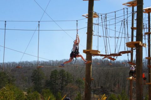 There’s An Adventure Park Hiding In The Middle Of A Georgia Forest And You Need To Visit