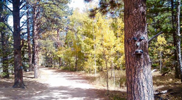 Most People Don’t Know Denver Has A Fairy Trail And It’s Positively Magical