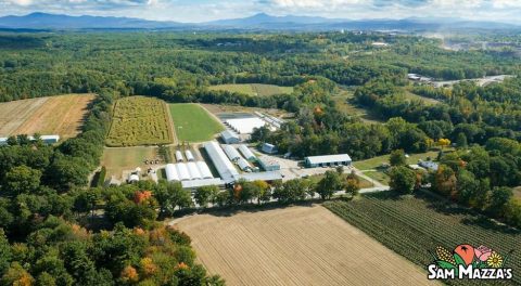 There’s A Bakery On This Beautiful Farm In Vermont And You Have To Visit