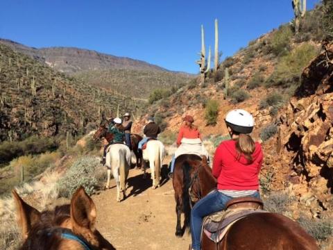 The Winter Horseback Riding Trail In Arizona That’s Pure Magic