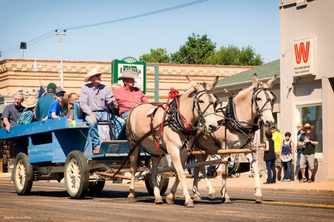 The Small Town In North Dakota With One Of The World's Most Unique Festivals