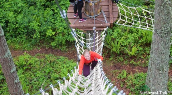 The Stomach-Dropping Canopy Walk Course You Can Only Find In Washington