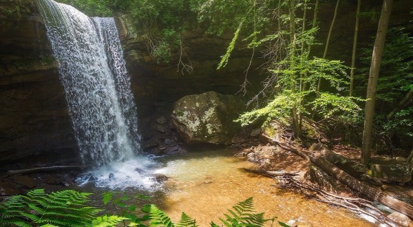 10 Amazing Natural Wonders Hiding In Plain Sight In Pennsylvania — No Hiking Required