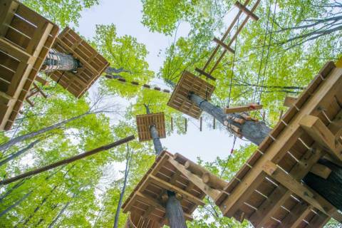 There’s An Adventure Park Hiding In Buffalo And You Need To Visit