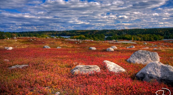Escape To These 12 Hidden Oases In Maine To Find Peace And Quiet