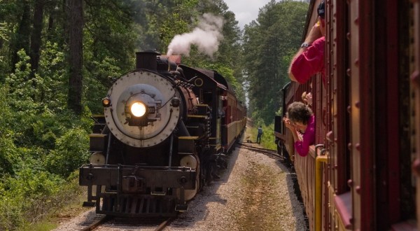 Everyone Must Take A Scenic Ride With The Texas State Railroad At Least Once