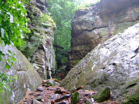 This One Easy Hike In Cleveland Will Lead You Someplace Unforgettable