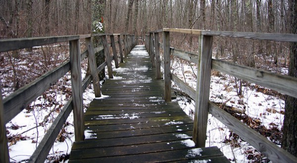 7 Picturesque Trails In Rhode Island That Are Perfect For Winter Hiking