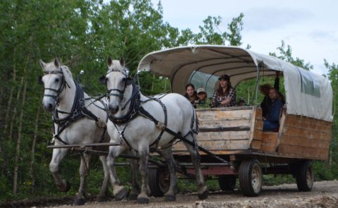 This Covered Wagon Tour In Alaska Will Transport You Back In Time