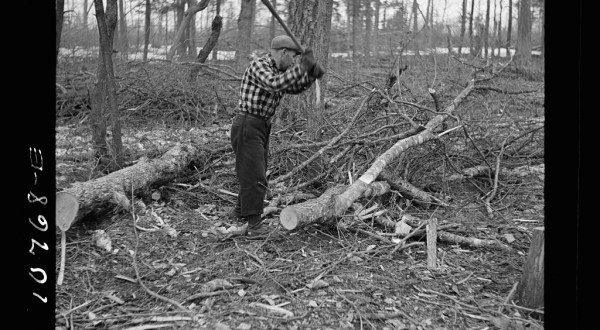 These 10 Rare Photos Show Wisconsin’s Logging History Like Never Before