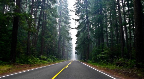 These 11 Beautiful Byways In Northern California Are Perfect For A Scenic Drive