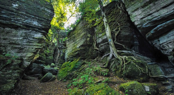 The One Place Near Buffalo That Must Be Seen To Be Believed